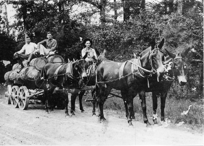 logging in Franklin Parish between 1915-1920
